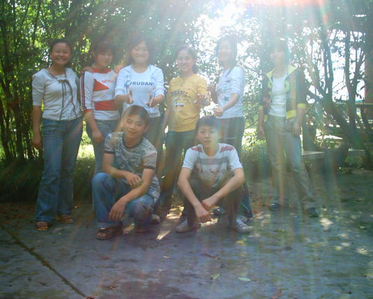 2006  (40)